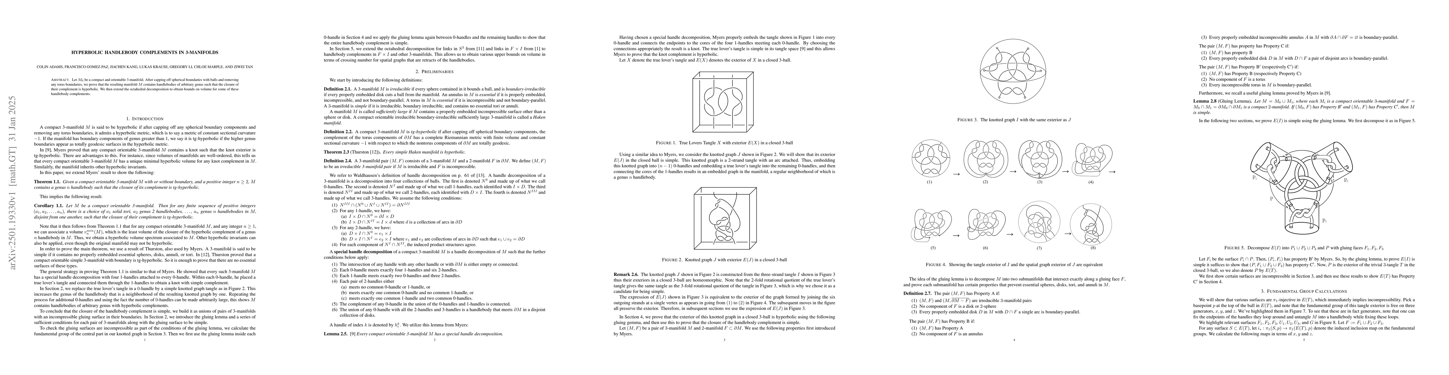 Thumbnail for Hyperbolic Handlebody Complements in 3-Manifolds
