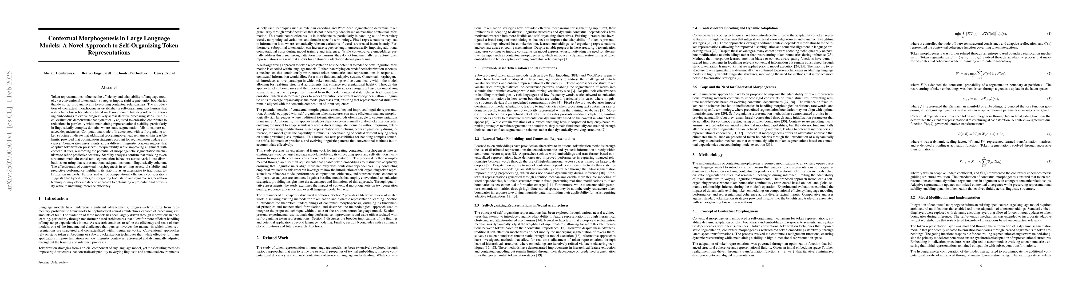 Thumbnail for Contextual Morphogenesis in Large Language Models: A Novel Approach to
  Self-Organizing Token Representations