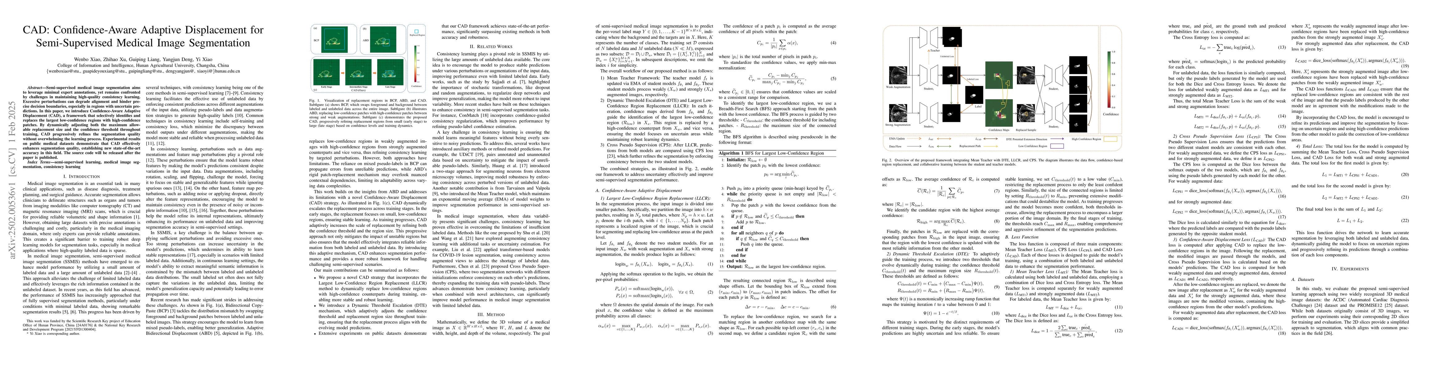 Thumbnail for CAD: Confidence-Aware Adaptive Displacement for Semi-Supervised Medical
  Image Segmentation