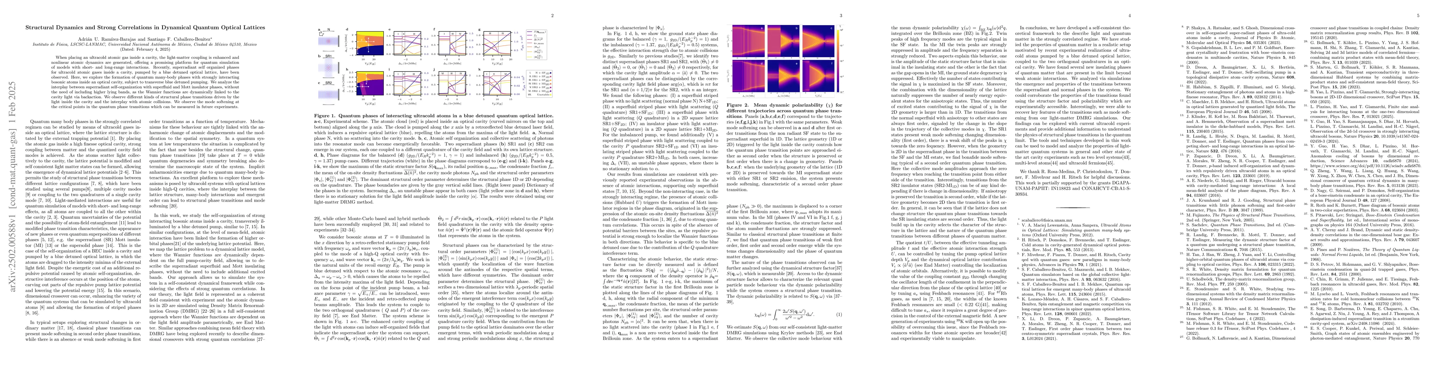 Thumbnail for Structural Dynamics and Strong Correlations in Dynamical Quantum Optical
  Lattices
