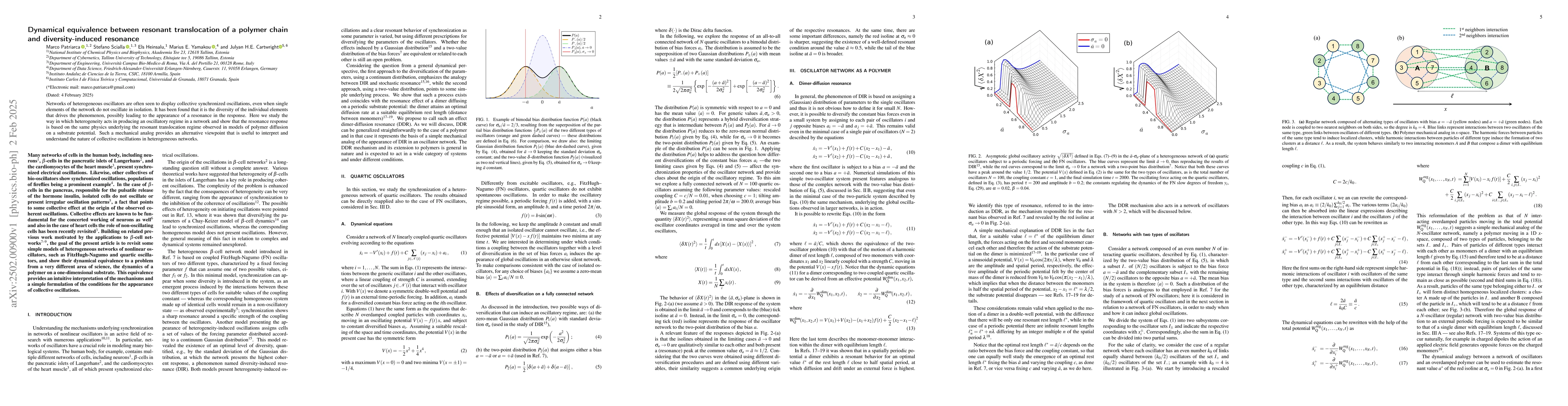 Thumbnail for Dynamical equivalence between resonant translocation of a polymer chain
  and diversity-induced resonance