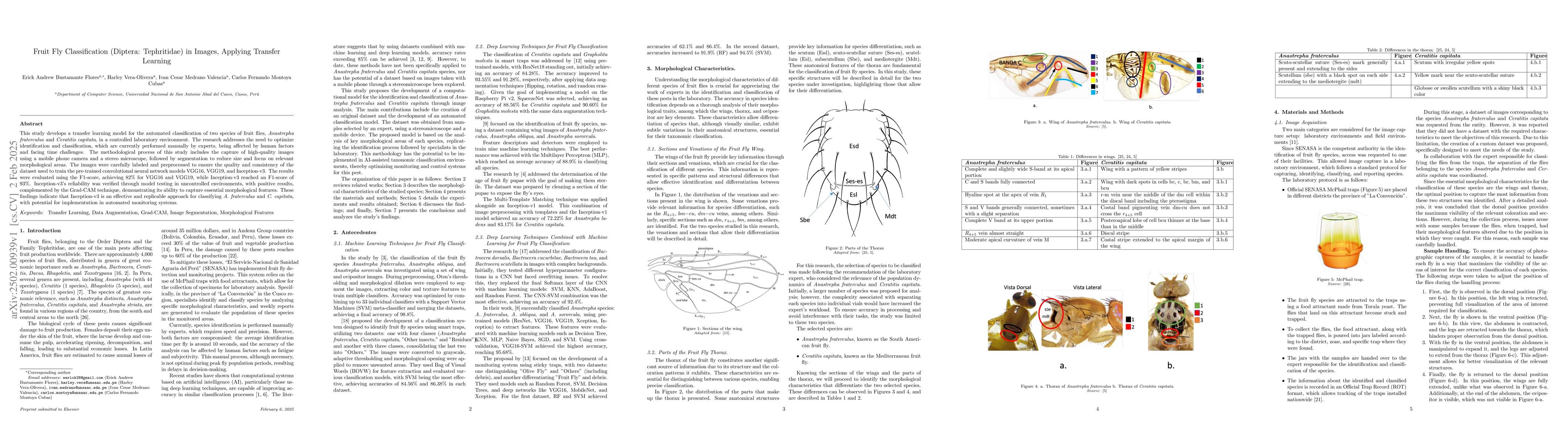 Thumbnail for Fruit Fly Classification (Diptera: Tephritidae) in Images, Applying
  Transfer Learning