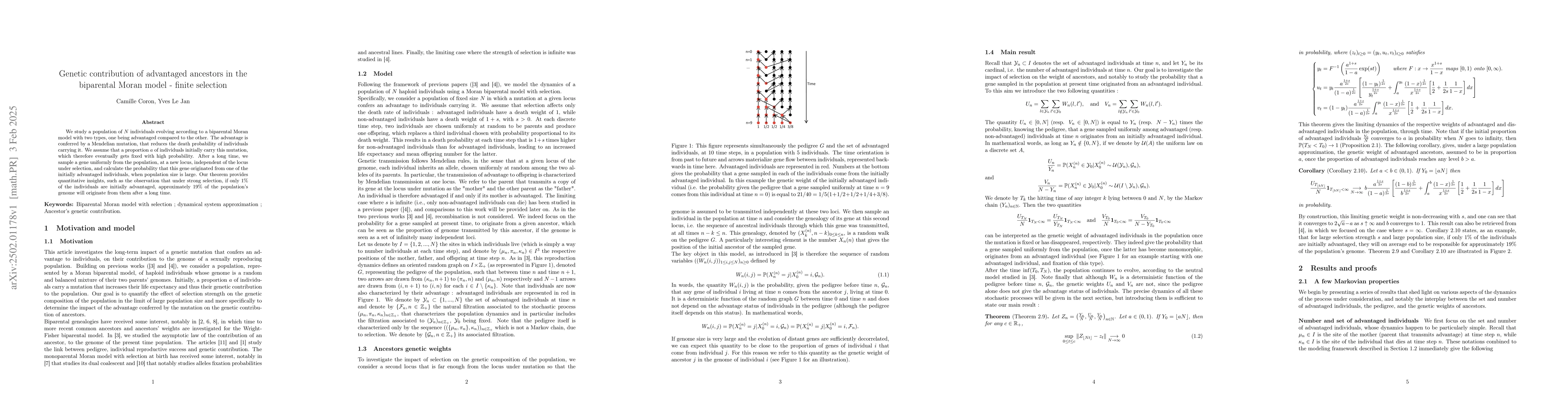 Thumbnail for Genetic contribution of advantaged ancestors in the biparental Moran
  model -- finite selection