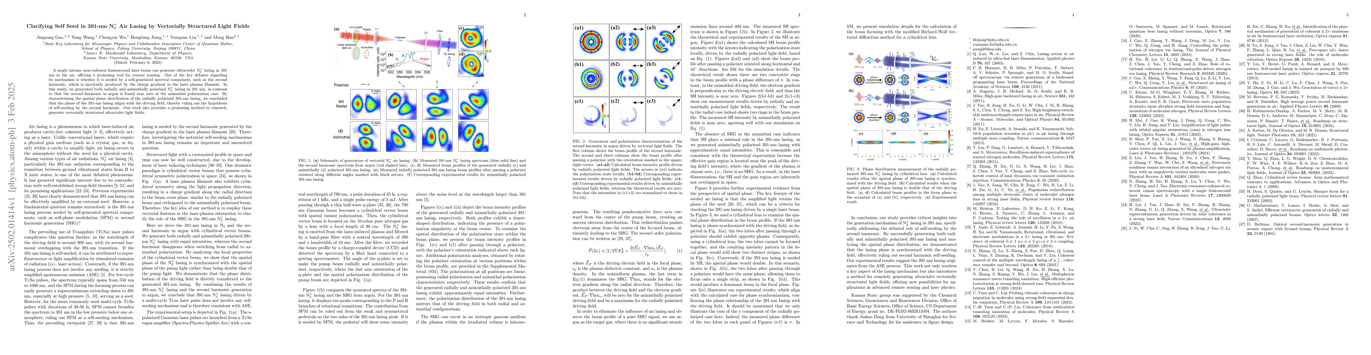 Thumbnail for Clarifying Self Seed in 391-nm N$_2^{+}$ Air Lasing by Vectorially
  Structured Light Fields