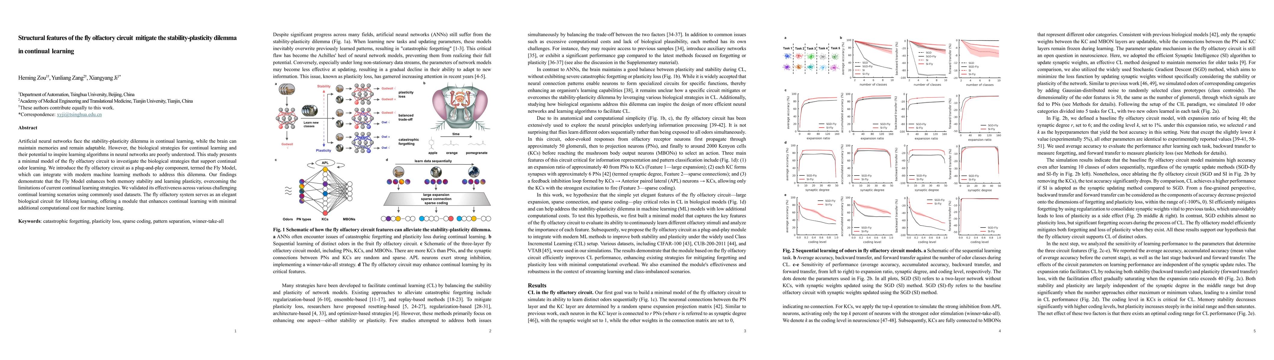 Thumbnail for Structural features of the fly olfactory circuit mitigate the
  stability-plasticity dilemma in continual learning