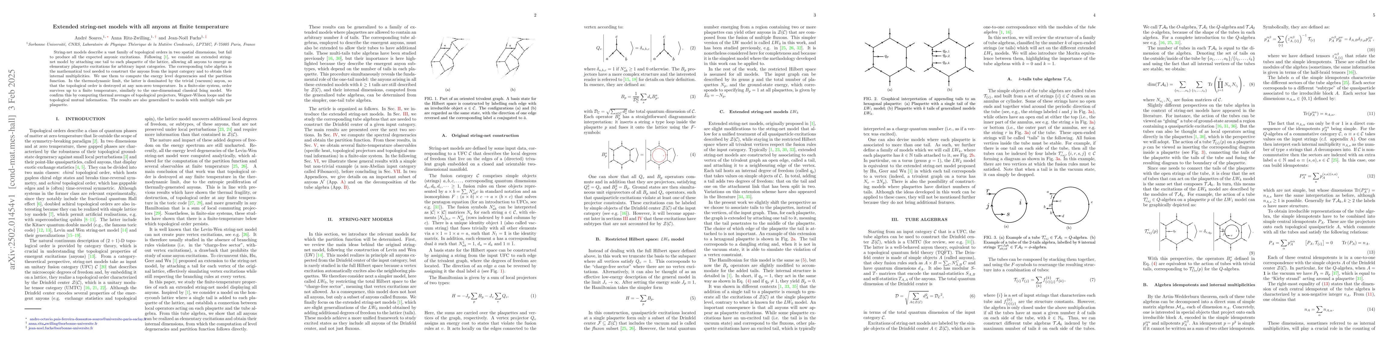 Thumbnail for Extended string-net models with all anyons at finite temperature