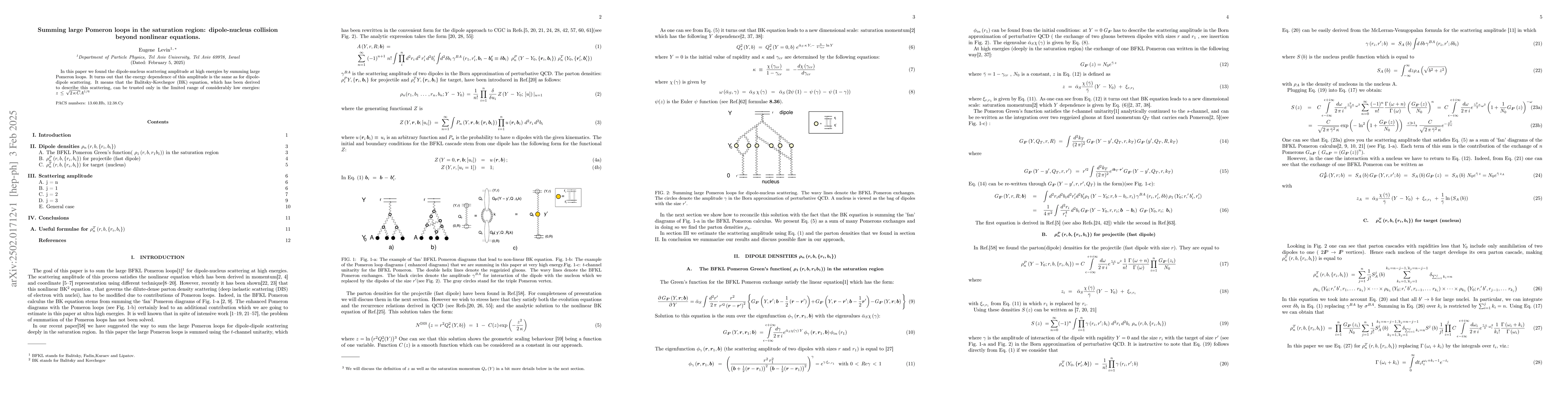 Thumbnail for Summing large Pomeron loops in the saturation region: dipole-nucleus
  collision beyond nonlinear equations