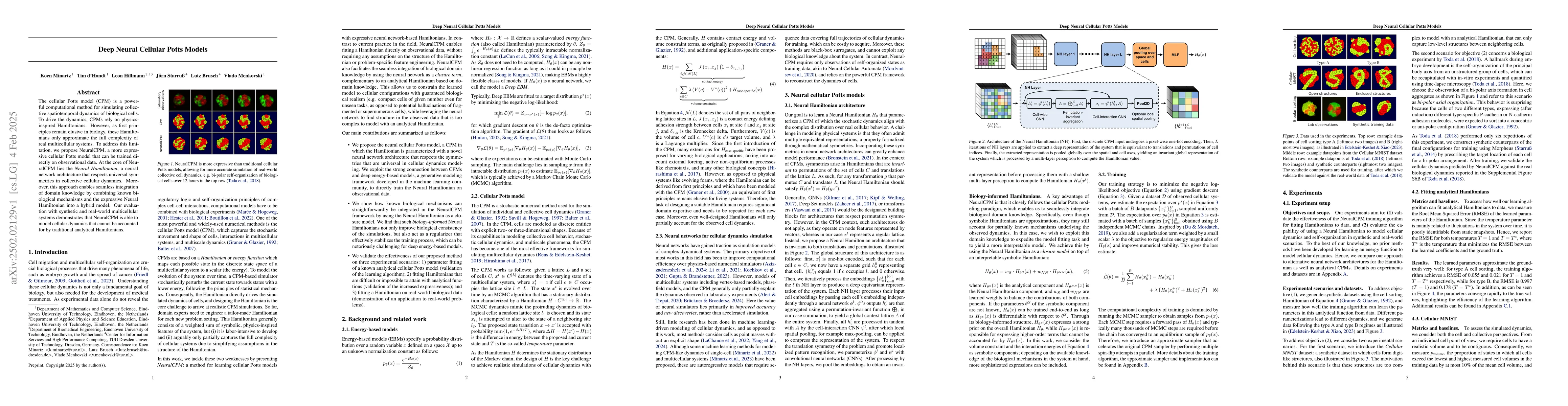 Thumbnail for Deep Neural Cellular Potts Models