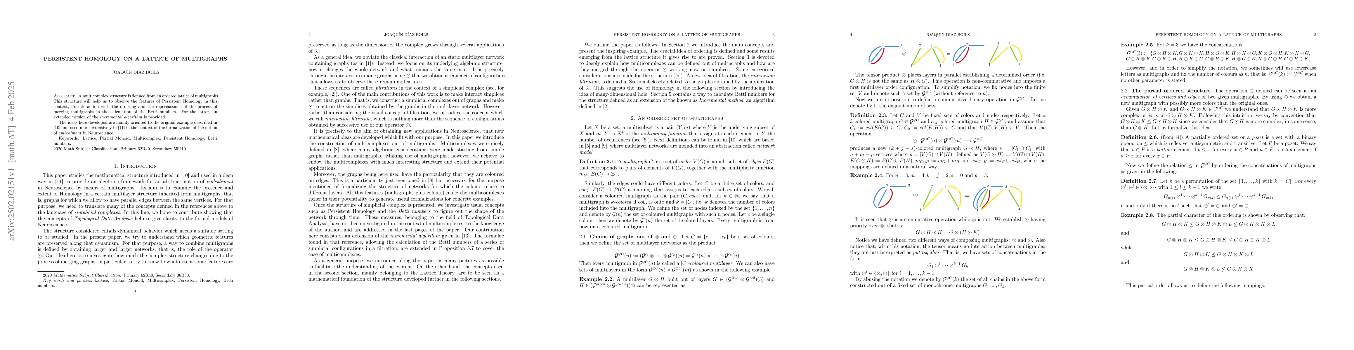 Thumbnail for Persistent Homology on a lattice of multigraphs