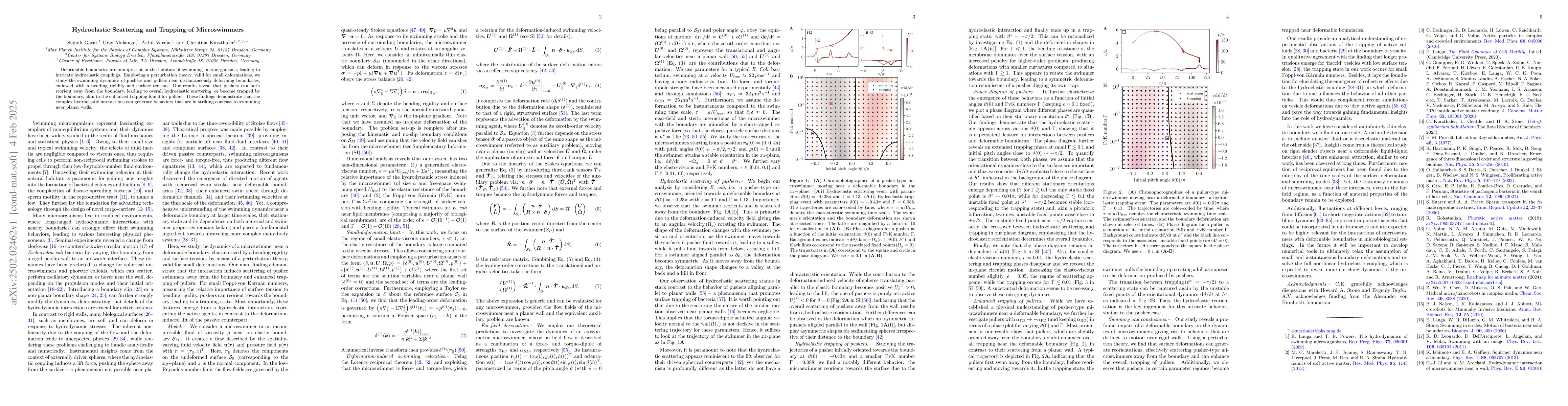 Thumbnail for Hydroelastic scattering and trapping of microswimmers