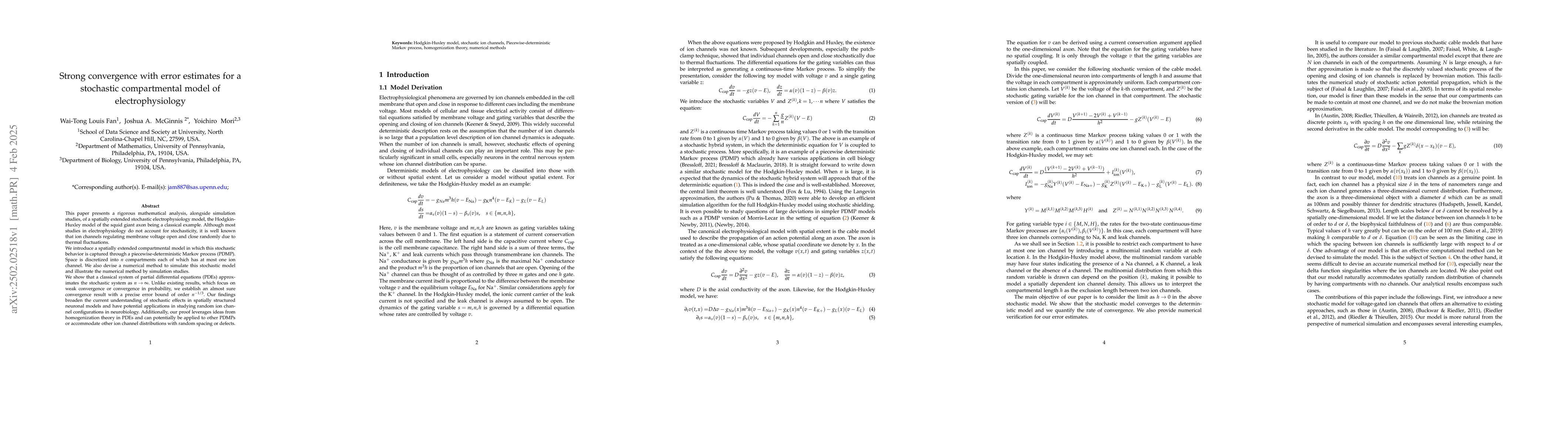 Thumbnail for Strong convergence with error estimates for a stochastic compartmental
  model of electrophysiology