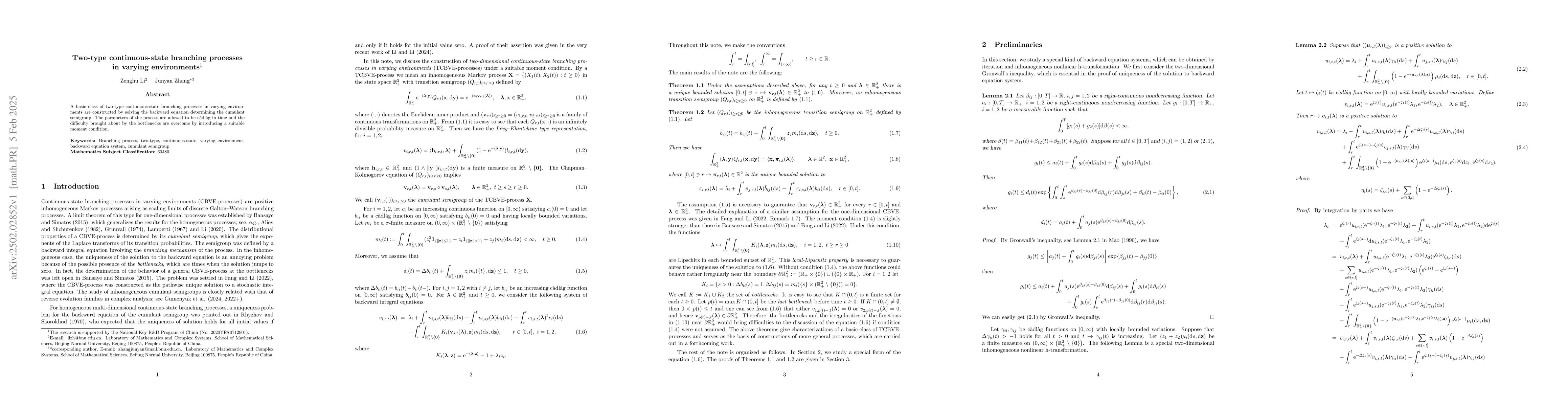 Thumbnail for Two-type continuous-state branching processes in varying environments