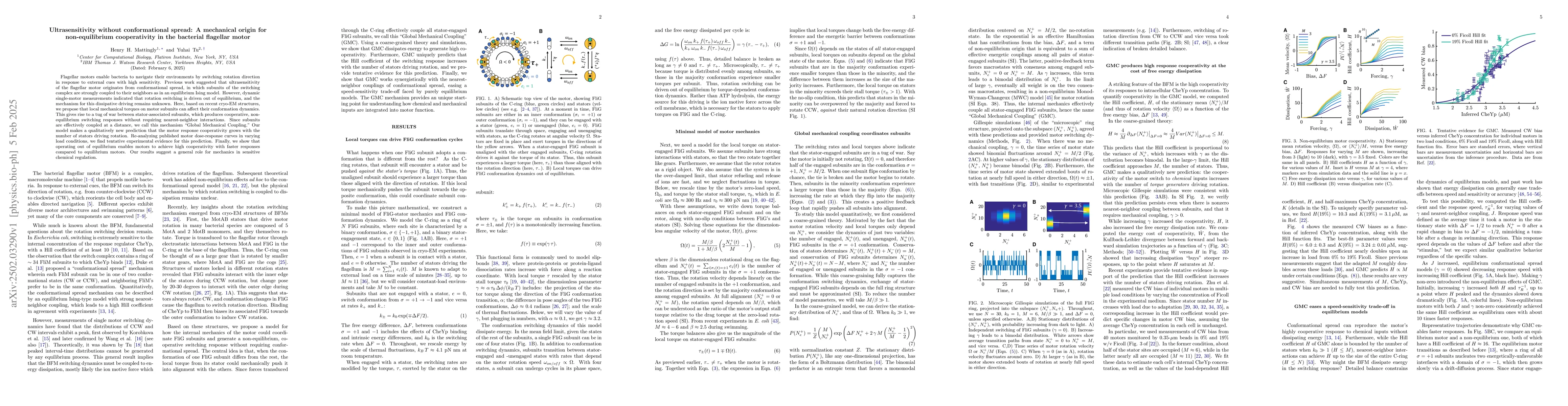 Thumbnail for Ultrasensitivity without conformational spread: A mechanical origin for
  non-equilibrium cooperativity in the bacterial flagellar motor