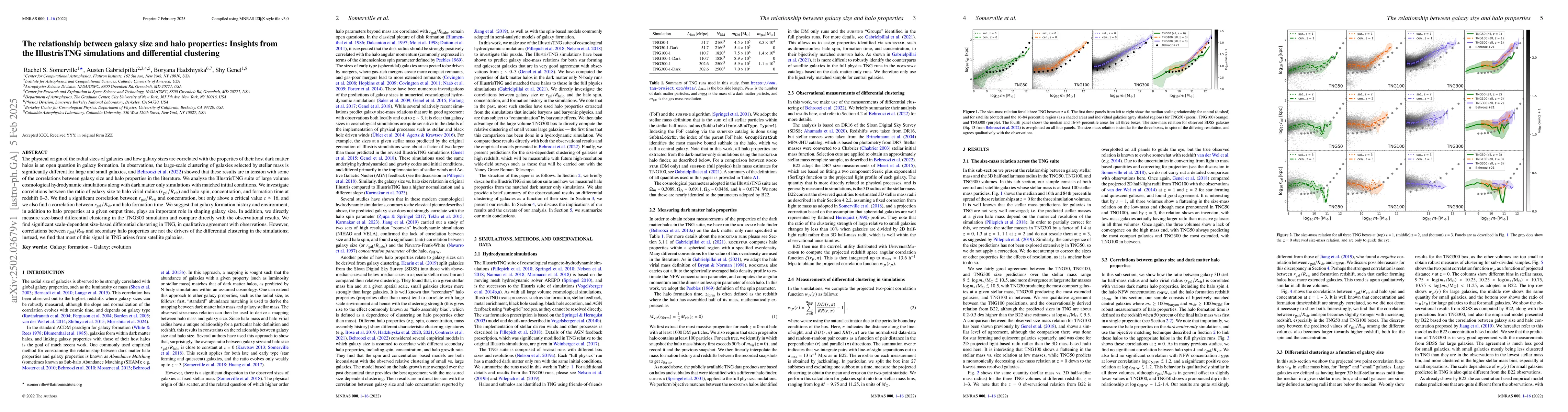 Thumbnail for The relationship between galaxy size and halo properties: Insights from
  the IllustrisTNG simulations and differential clustering