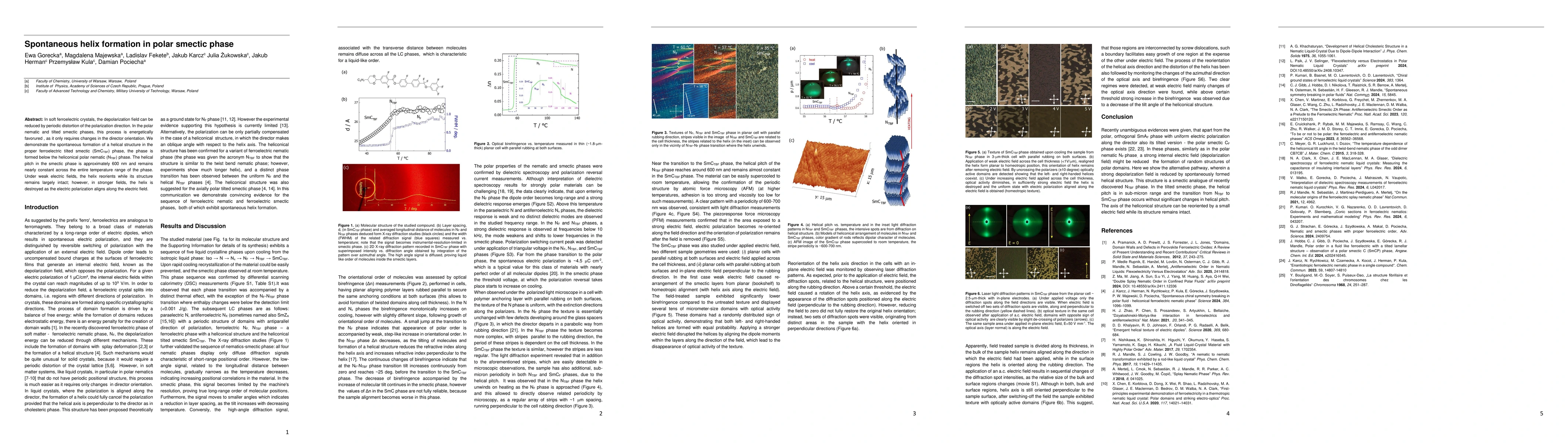 Thumbnail for Spontaneous helix formation in polar smectic phase