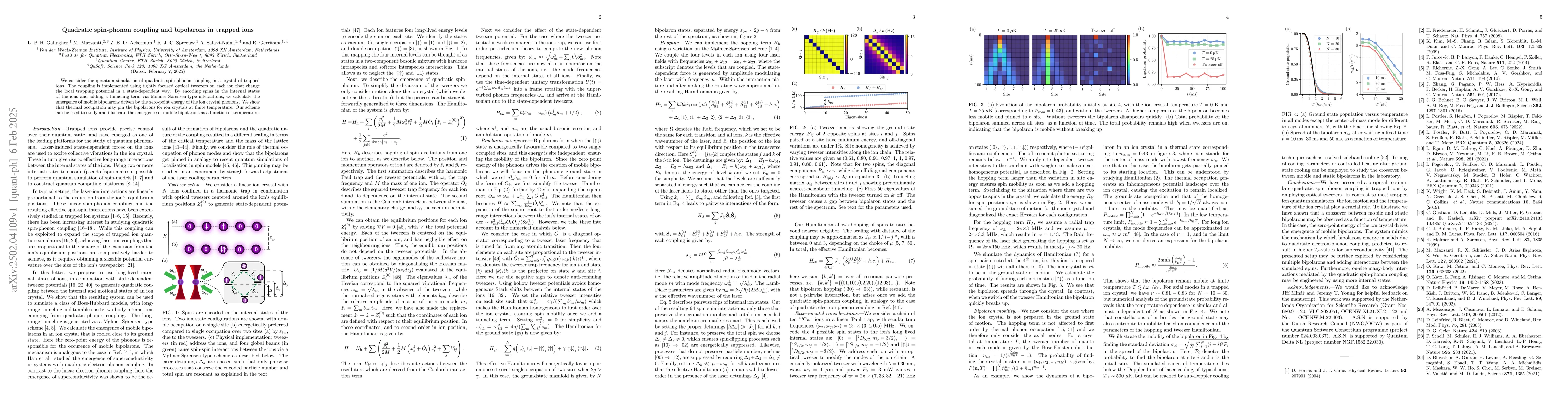 Thumbnail for Quadratic spin-phonon coupling and bipolarons in trapped ions