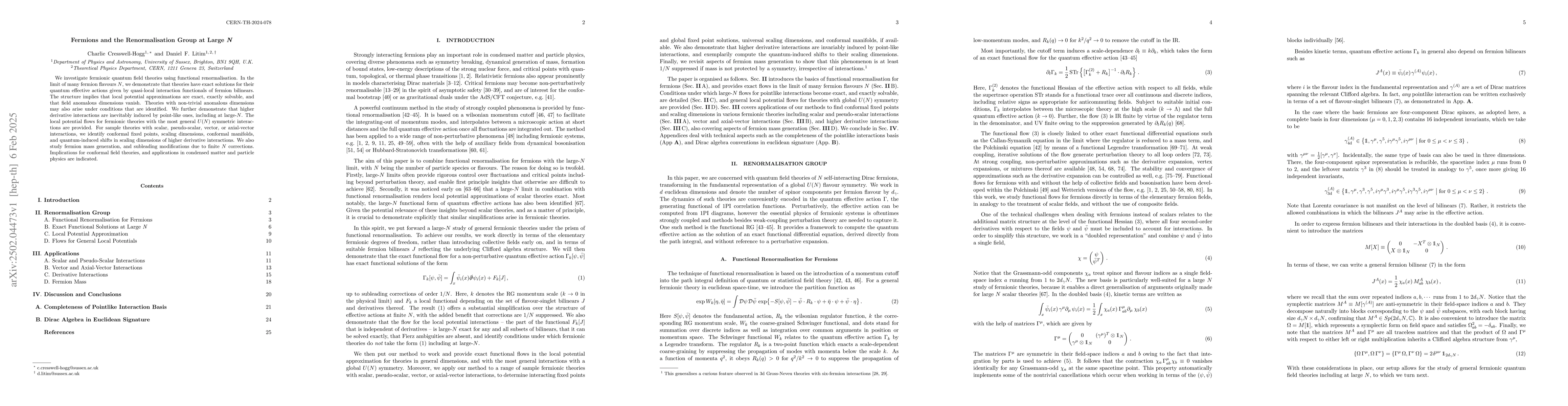 Thumbnail for Fermions and the Renormalisation Group at Large N