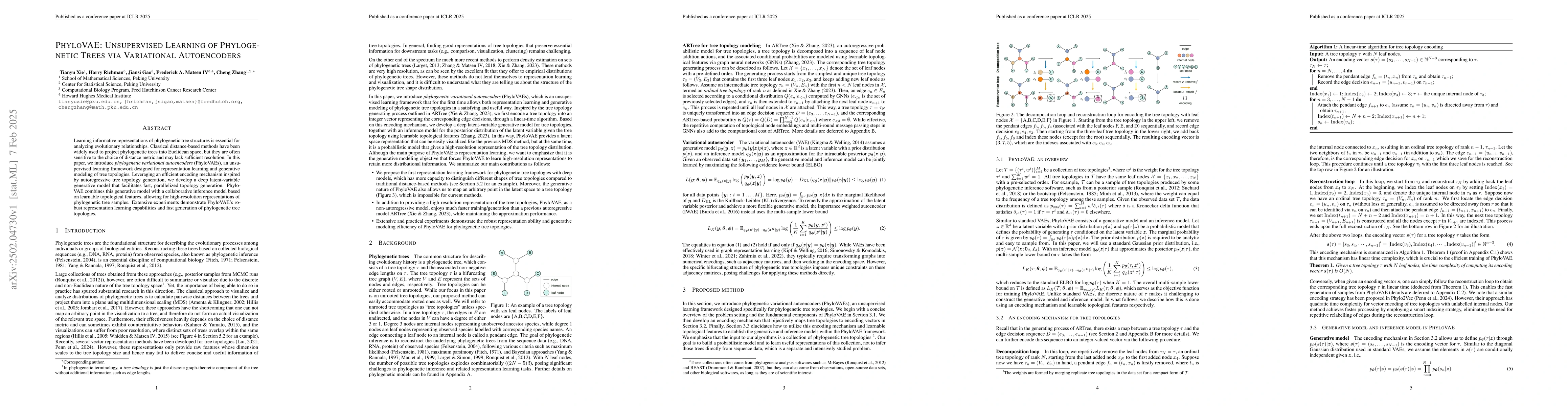 Thumbnail for PhyloVAE: Unsupervised Learning of Phylogenetic Trees via Variational
  Autoencoders