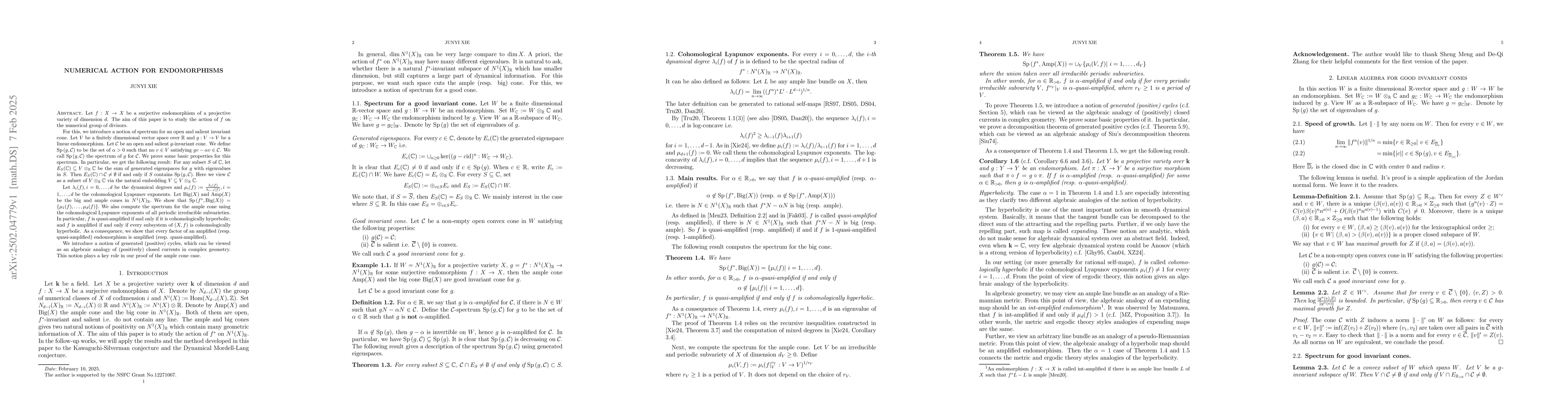 Thumbnail for Numerical action for endomorphisms