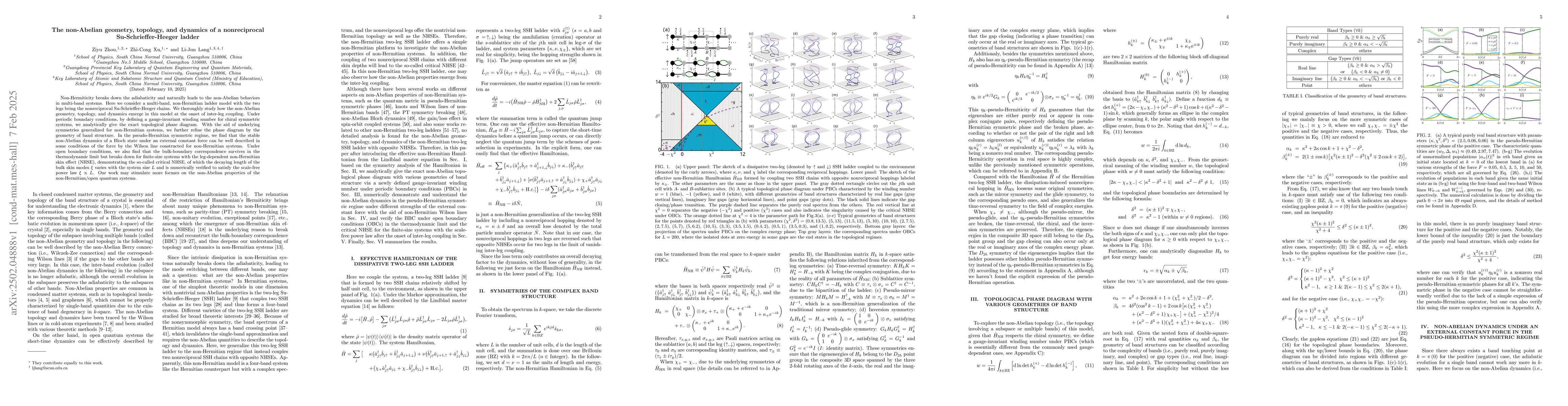 Thumbnail for The non-Abelian geometry, topology, and dynamics of a nonreciprocal
  Su-Schrieffer-Heeger ladder