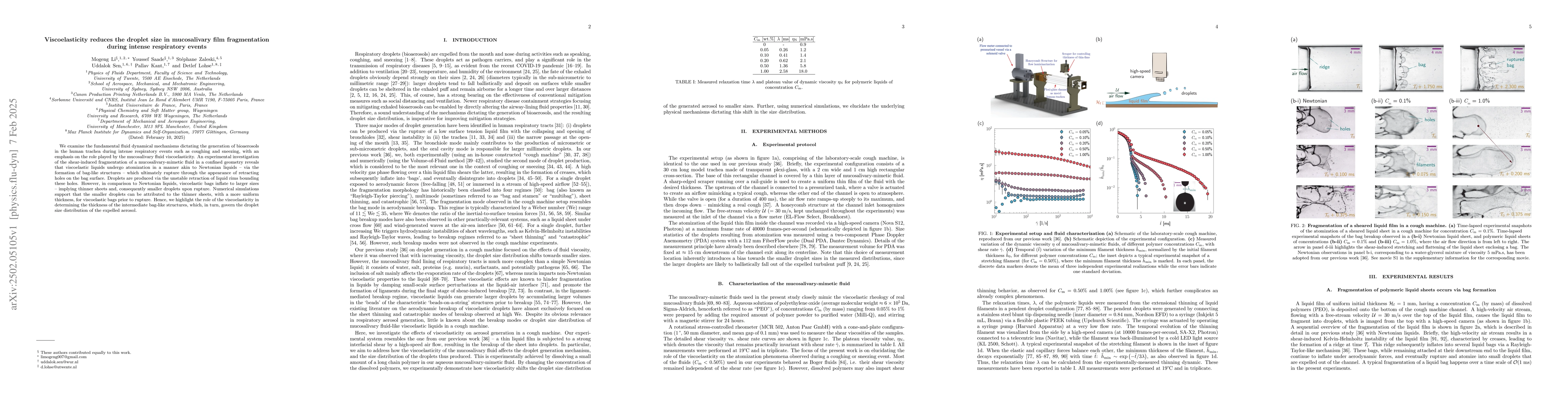 Thumbnail for Viscoelasticity reduces the droplet size in mucosalivary film
  fragmentation during intense respiratory events