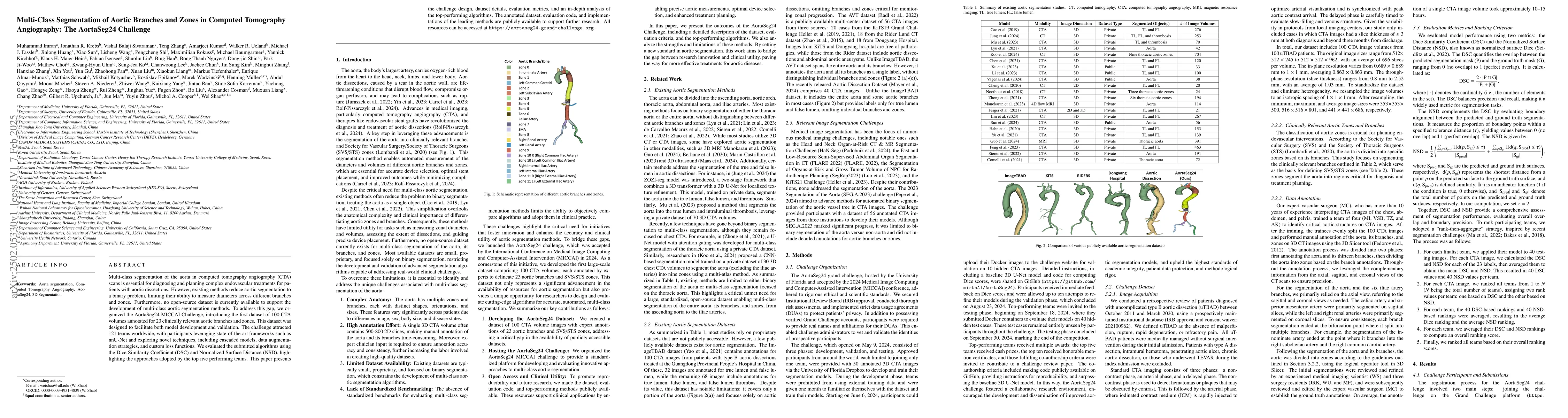 Thumbnail for Multi-Class Segmentation of Aortic Branches and Zones in Computed
  Tomography Angiography: The AortaSeg24 Challenge
