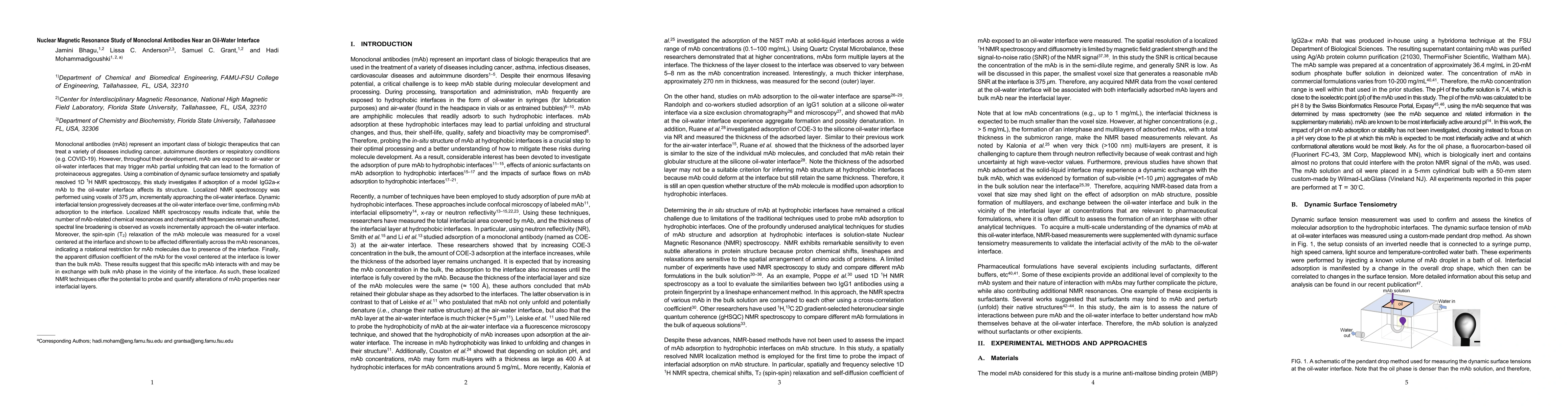 Thumbnail for Nuclear Magnetic Resonance Study of Monoclonal Antibodies Near an
  Oil-Water Interface