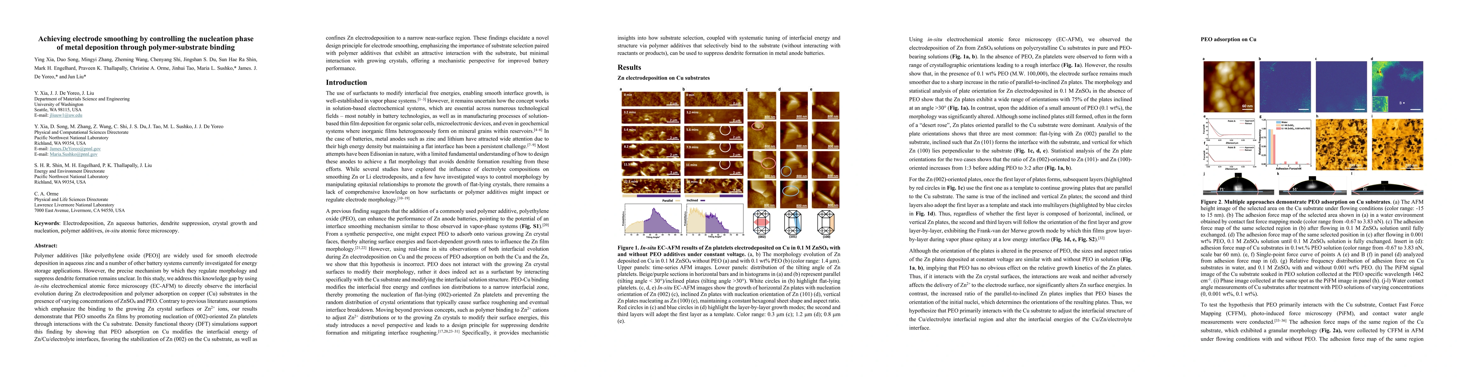 Thumbnail for Achieving electrode smoothing by controlling the nucleation phase of
  metal deposition through polymer-substrate binding