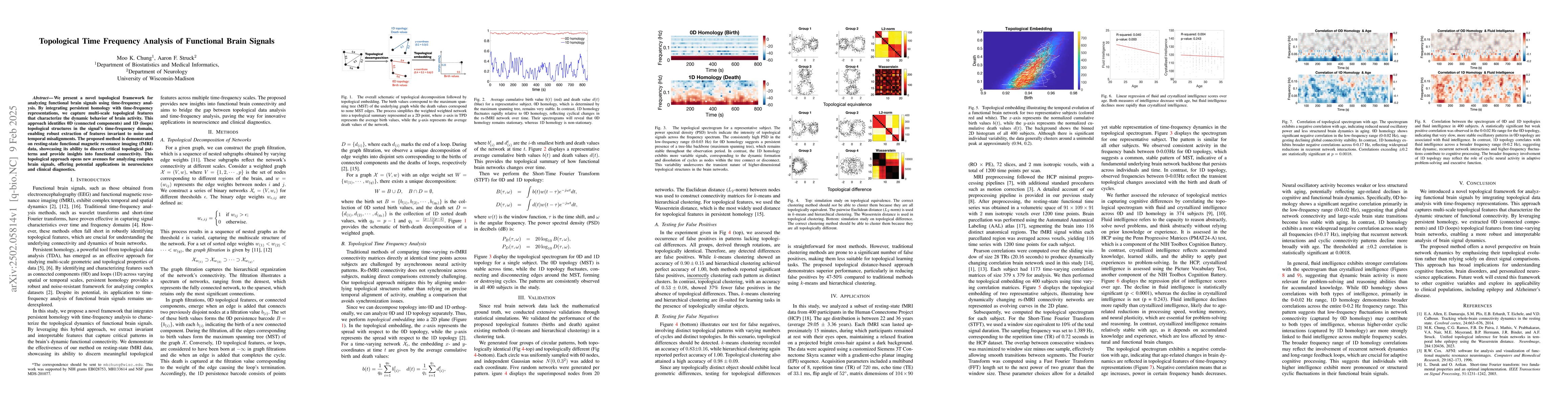 Thumbnail for Topological Time Frequency Analysis of Functional Brain Signals