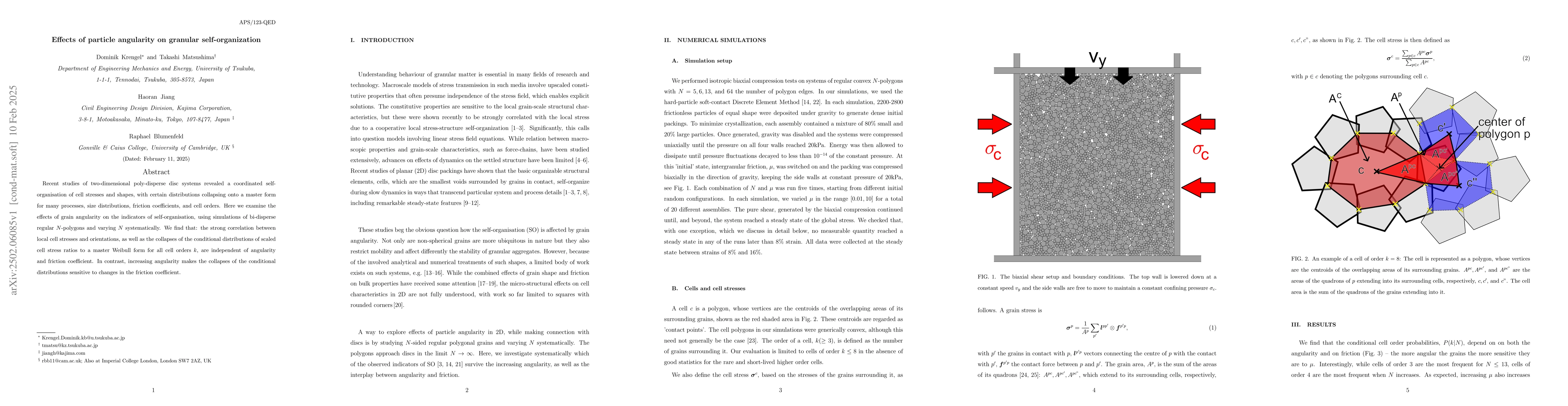 Thumbnail for Effects of particle angularity on granular self-organization