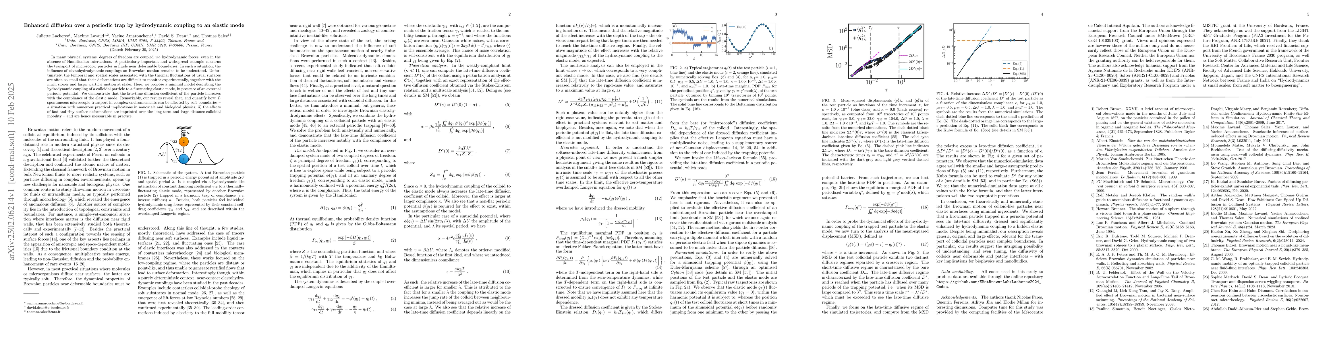 Thumbnail for Enhanced diffusion over a periodic trap by hydrodynamic coupling to an
  elastic mode