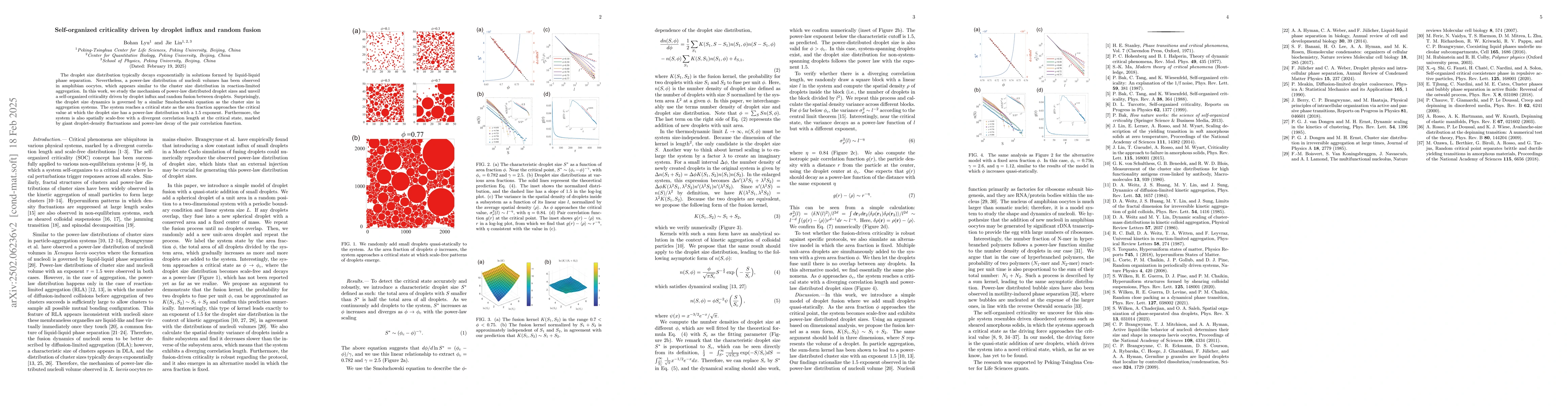 Thumbnail for Self-organized criticality driven by droplet influx and random fusion