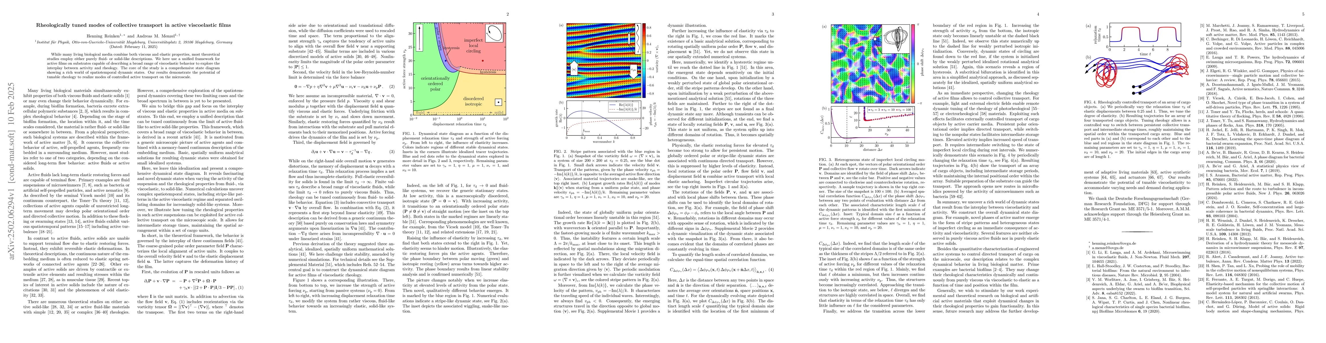 Thumbnail for Rheologically tuned modes of collective transport in active viscoelastic
  films