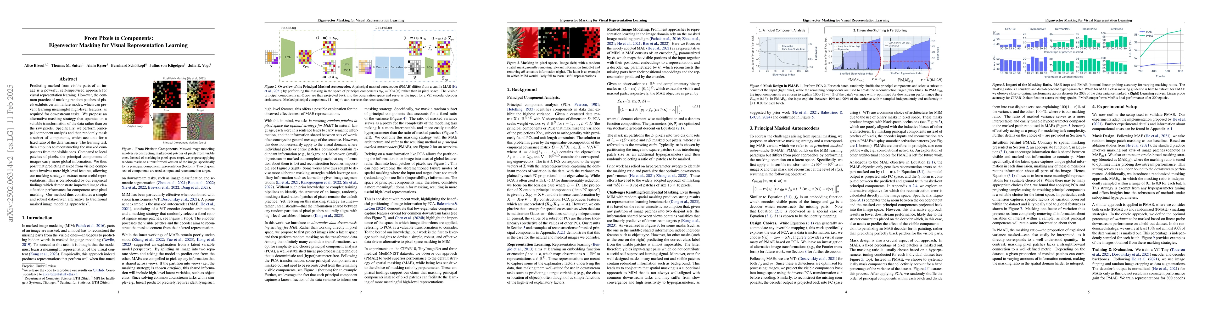 Thumbnail for From Pixels to Components: Eigenvector Masking for Visual Representation
  Learning