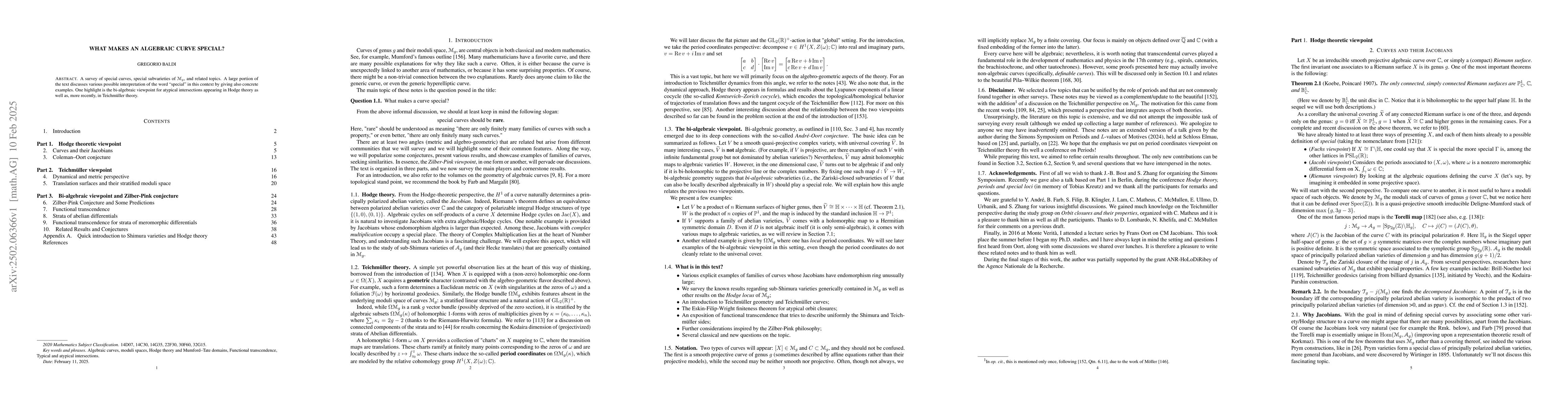 Thumbnail for What makes an algebraic curve special?