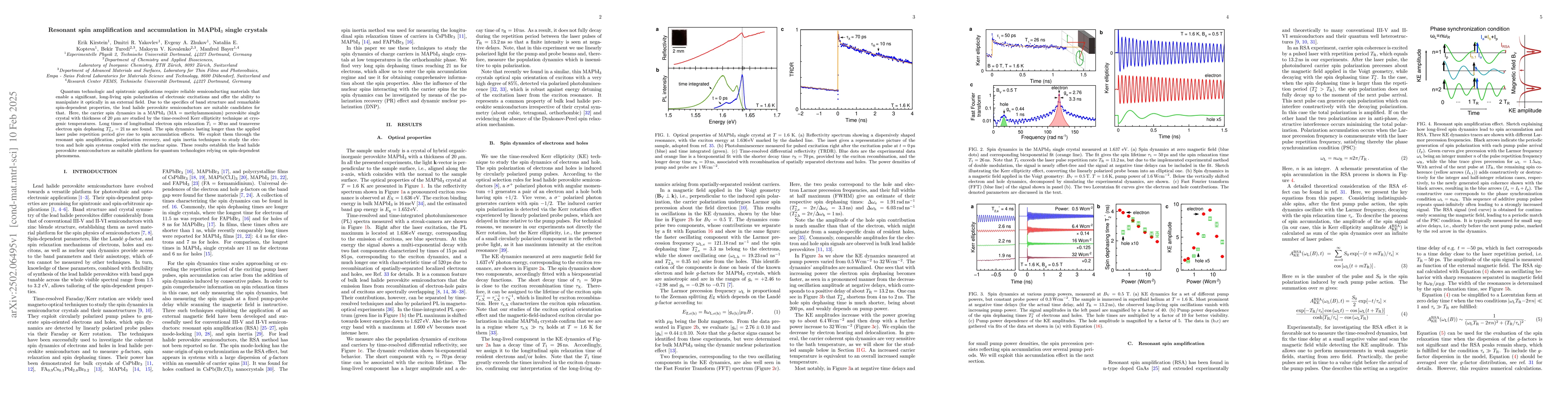 Thumbnail for Resonant spin amplification and accumulation in MAPbI$_3$ single
  crystals