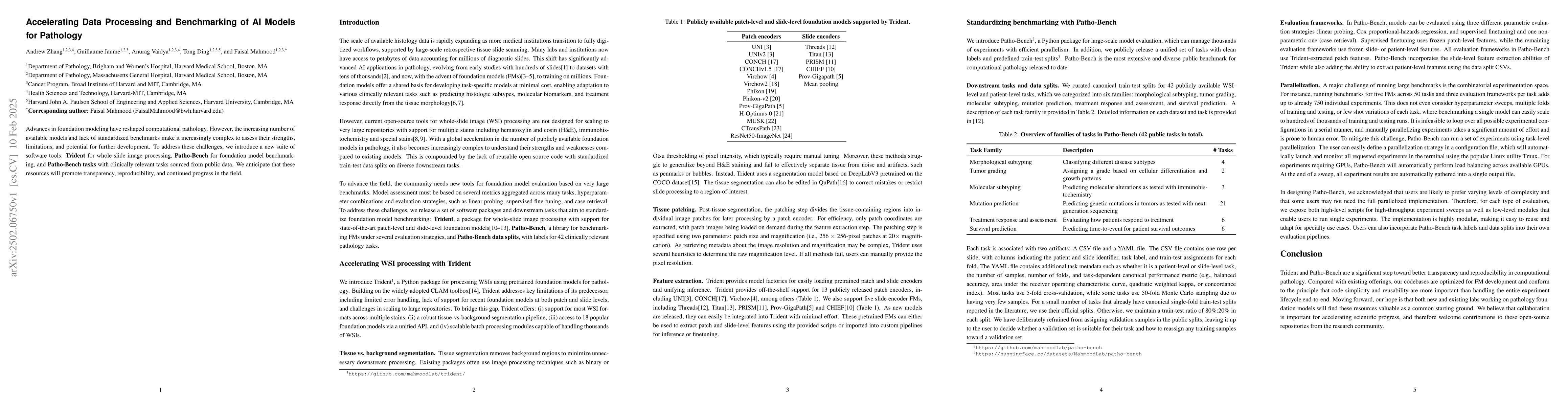 Thumbnail for Accelerating Data Processing and Benchmarking of AI Models for Pathology