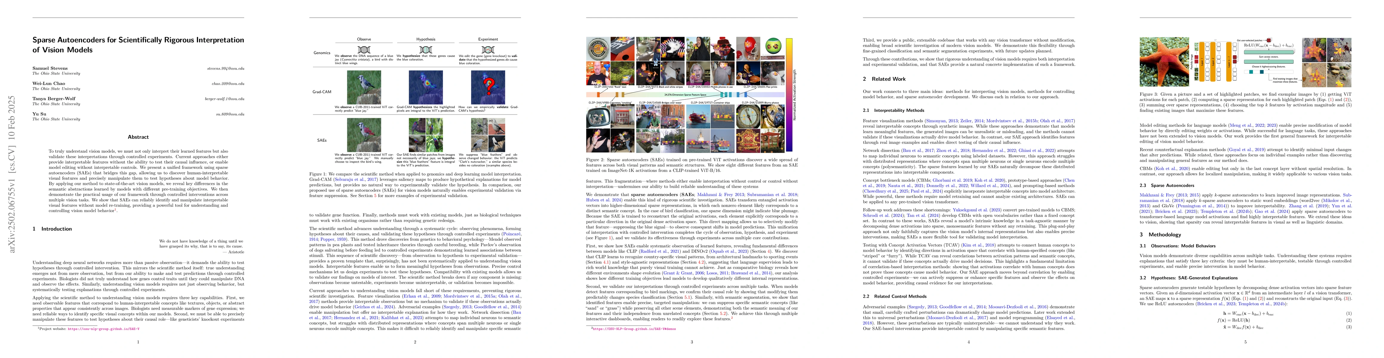 Thumbnail for Sparse Autoencoders for Scientifically Rigorous Interpretation of Vision
  Models