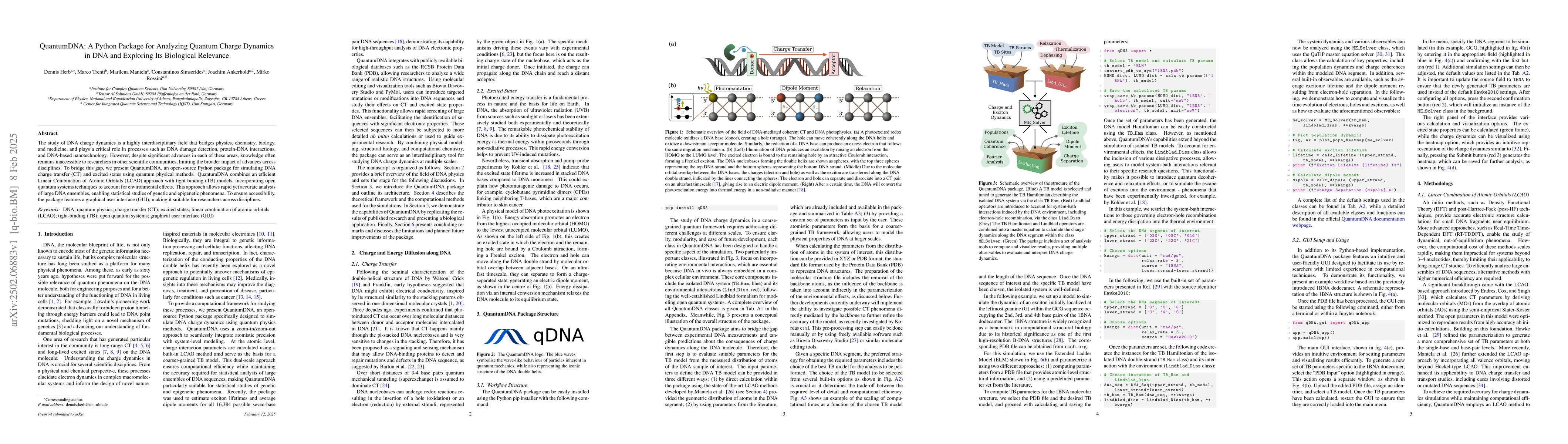 Thumbnail for QuantumDNA: A Python Package for Analyzing Quantum Charge Dynamics in
  DNA and Exploring Its Biological Relevance