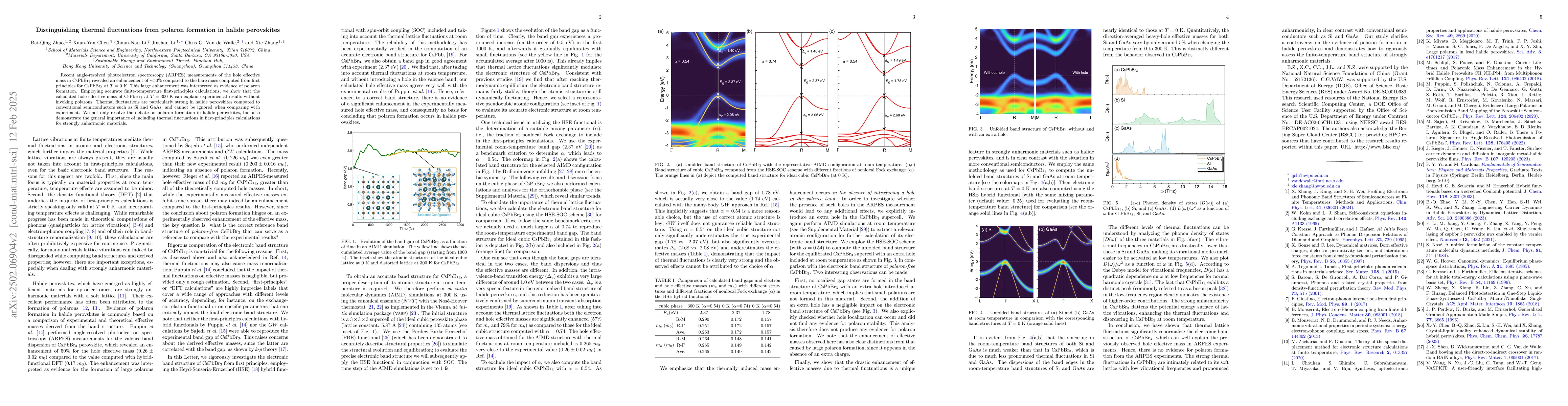 Thumbnail for Distinguishing thermal fluctuations from polaron formation in halide
  perovskites