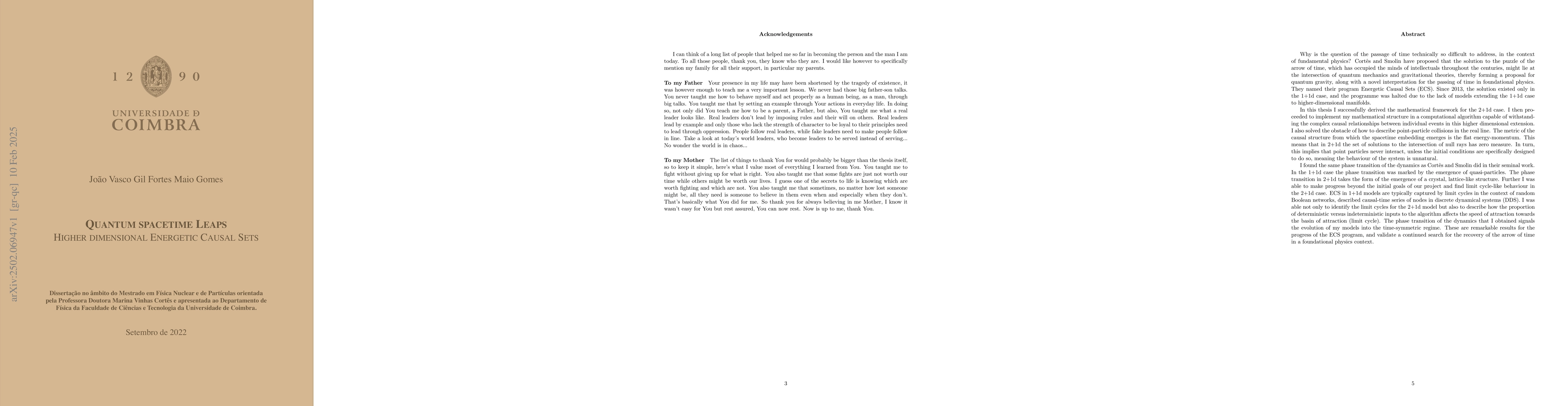 Thumbnail for Quantum Spacetime Leaps: Higher Dimensional Energetic Causal Sets