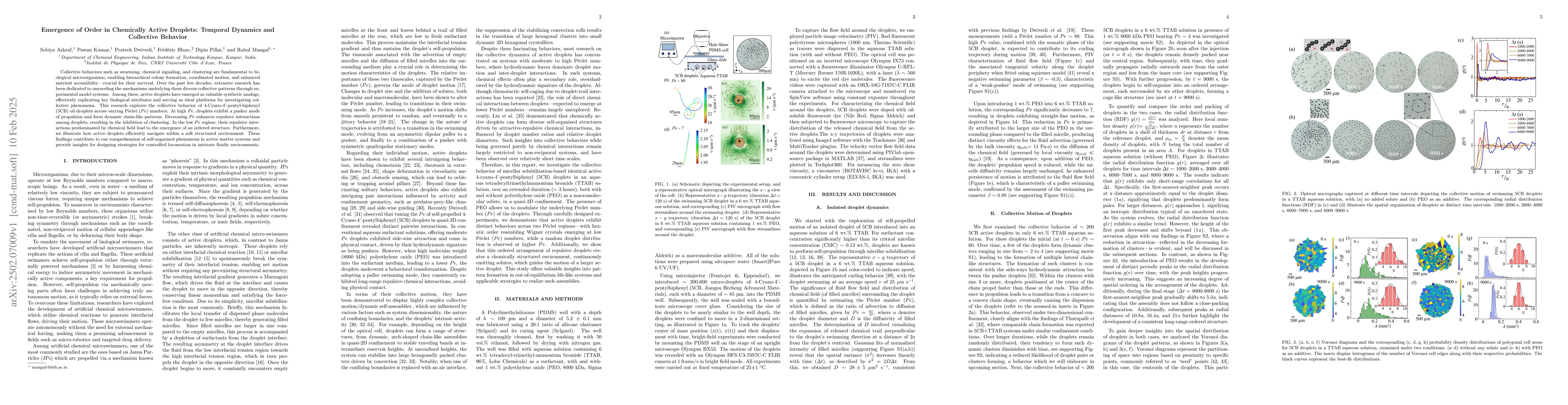 Thumbnail for Emergence of Order in Chemically Active Droplets: Temporal Dynamics and
  Collective Behavior