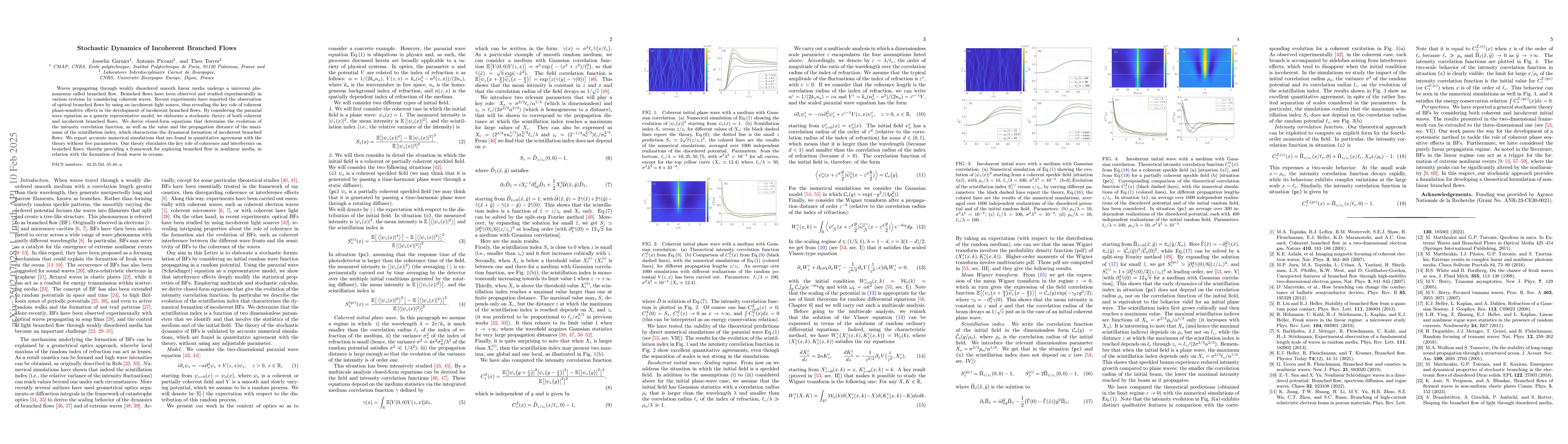 Thumbnail for Stochastic Dynamics of Incoherent Branched Flows