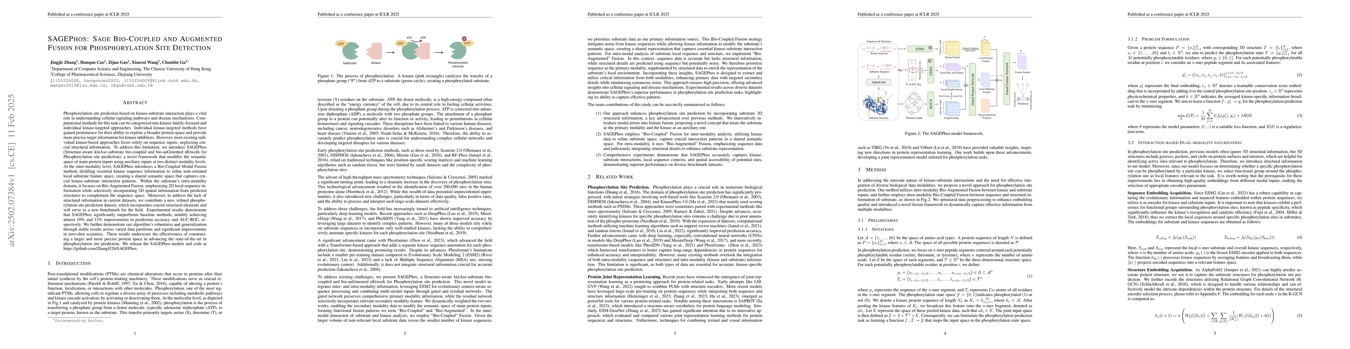 Thumbnail for SAGEPhos: Sage Bio-Coupled and Augmented Fusion for Phosphorylation Site
  Detection