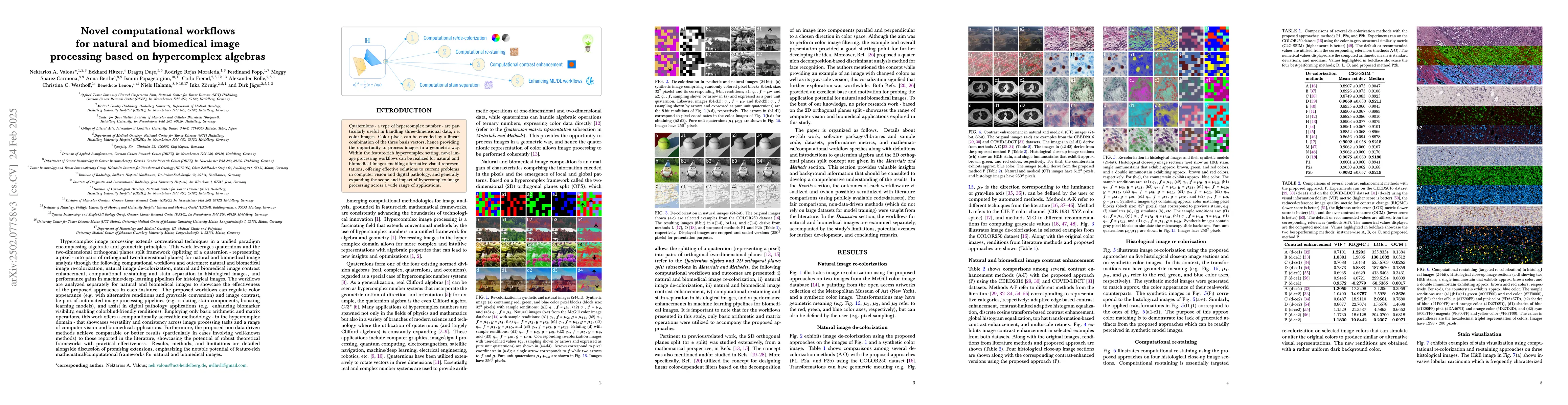 Thumbnail for Novel computational workflows for natural and biomedical image
  processing based on hypercomplex algebras