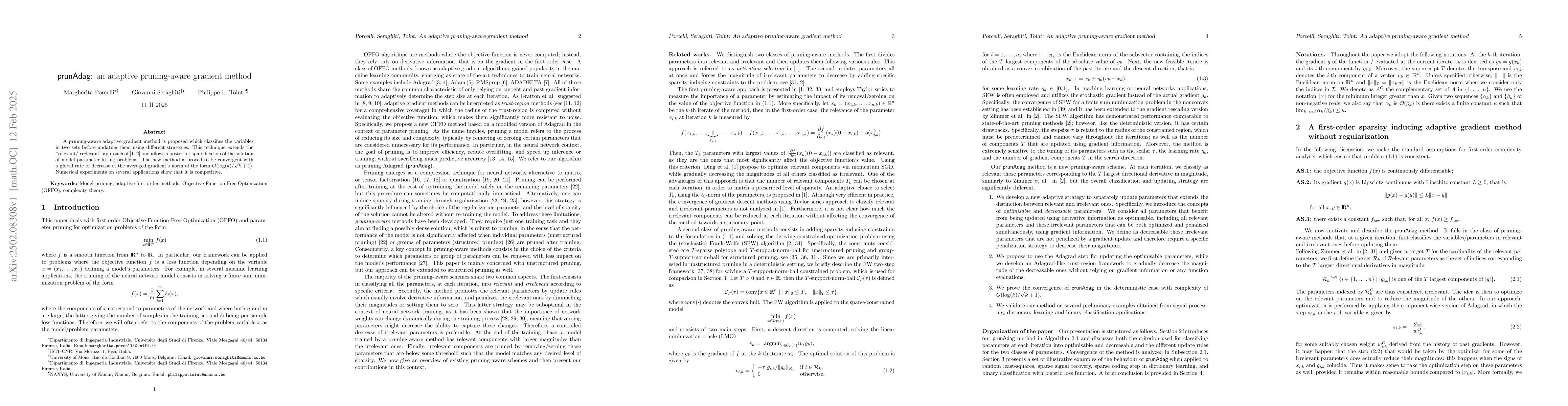 Thumbnail for prunAdag: an adaptive pruning-aware gradient method