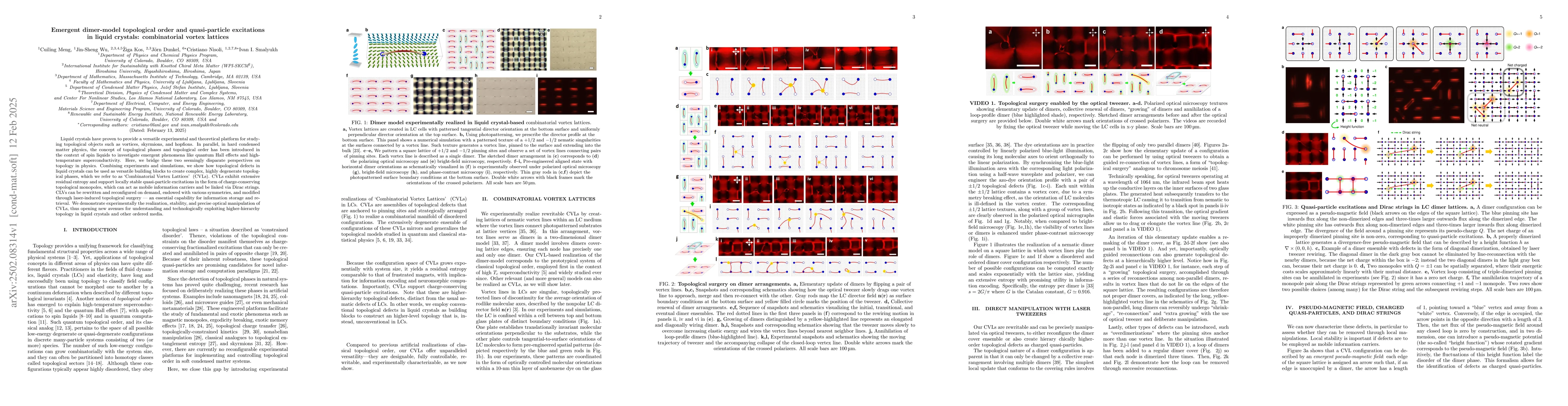 Thumbnail for Emergent dimer-model topological order and quasi-particle excitations in
  liquid crystals: combinatorial vortex lattices