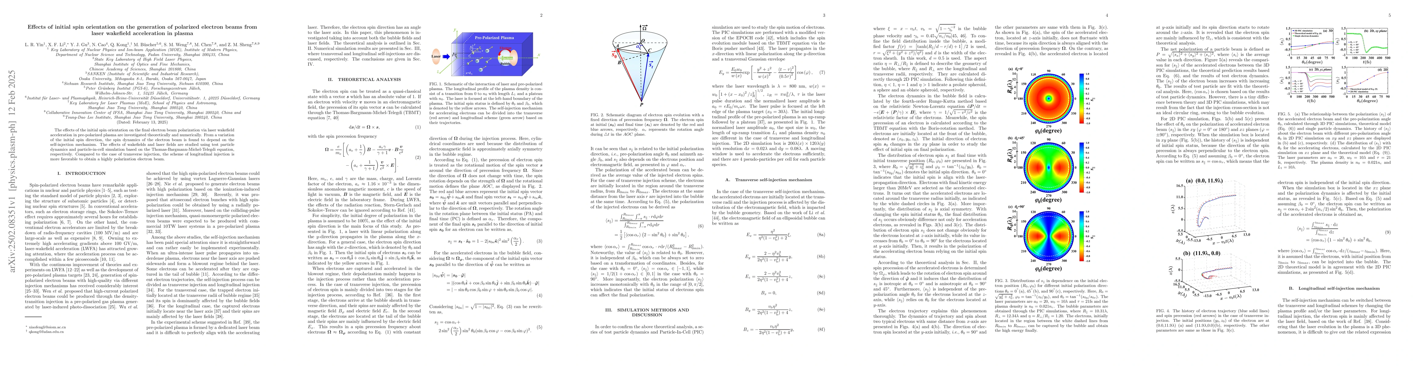 Thumbnail for Effects of initial spin orientation on the generation of polarized
  electron beams from laser wakefield acceleration in plasma