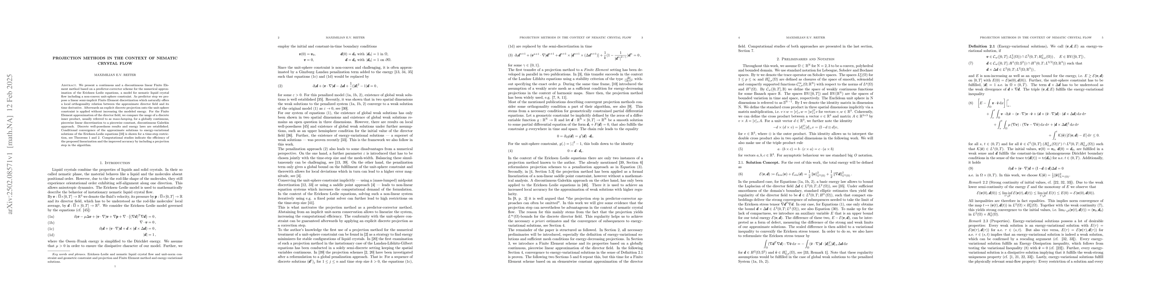 Thumbnail for Projection Methods in the Context of Nematic Crystal Flow