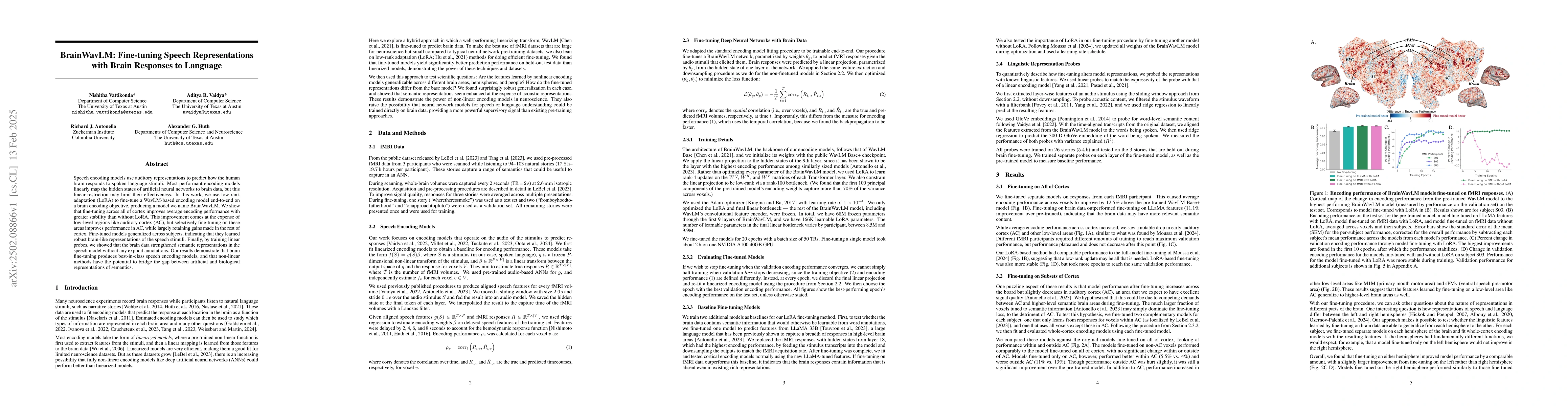 Thumbnail for BrainWavLM: Fine-tuning Speech Representations with Brain Responses to
  Language